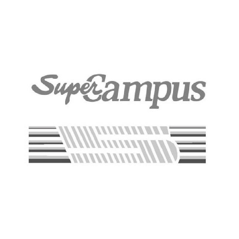 Renault 5 super campus serie limitée ( )